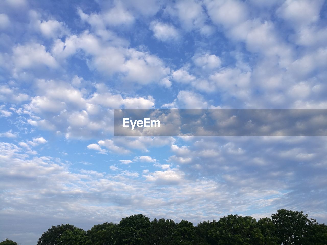 LOW ANGLE VIEW OF CLOUDS IN SKY