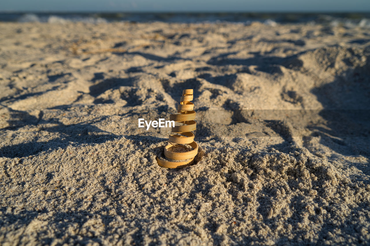 Close-up of shells on sand at beach against sky