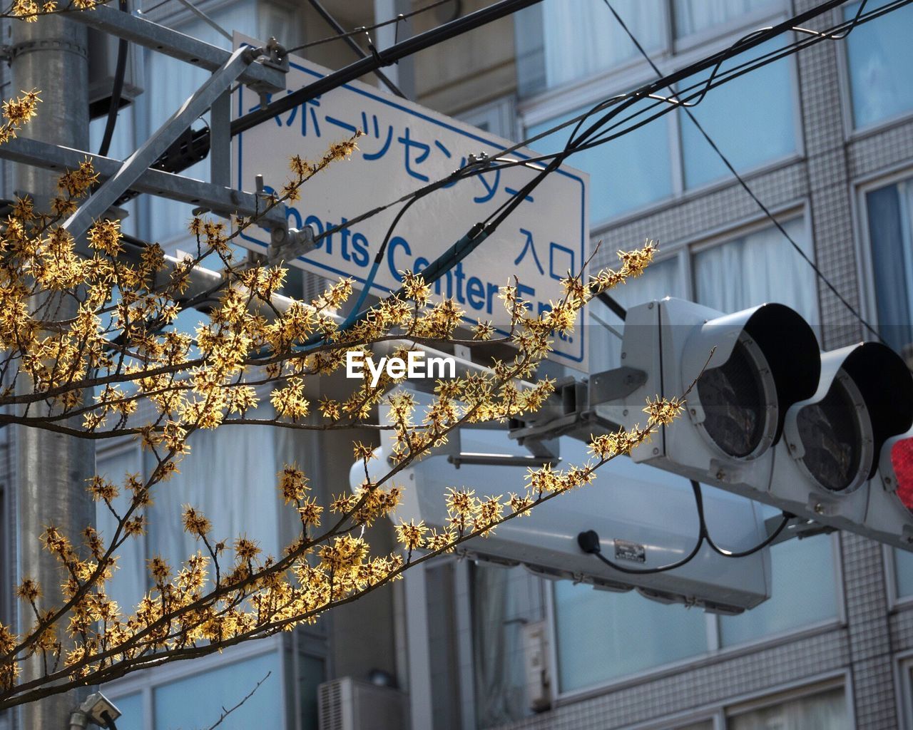 CLOSE-UP LOW ANGLE VIEW OF CABLES AGAINST BUILDINGS