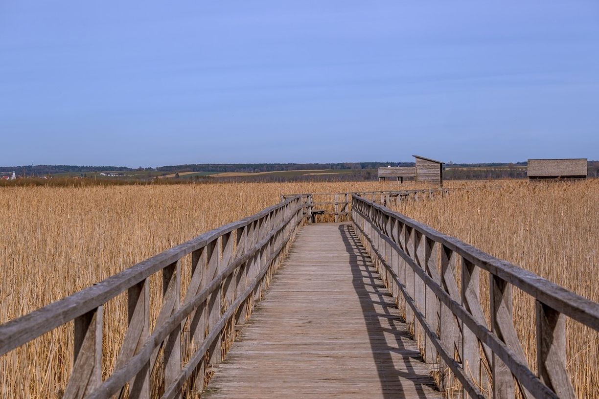 sky, land, landscape, nature, environment, walkway, no people, the way forward, wood, architecture, scenics - nature, horizon, rural scene, agriculture, boardwalk, day, footpath, water, outdoors, tranquility, built structure, field, blue, diminishing perspective, tranquil scene, plant, clear sky, beauty in nature, railing, non-urban scene, farm, sea, rural area, beach, horizon over land, copy space, coast