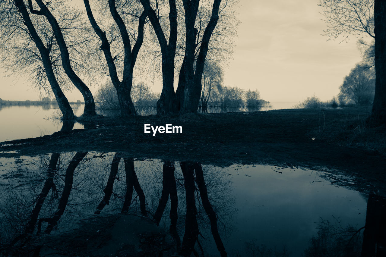 Reflection of trees in lake against sky