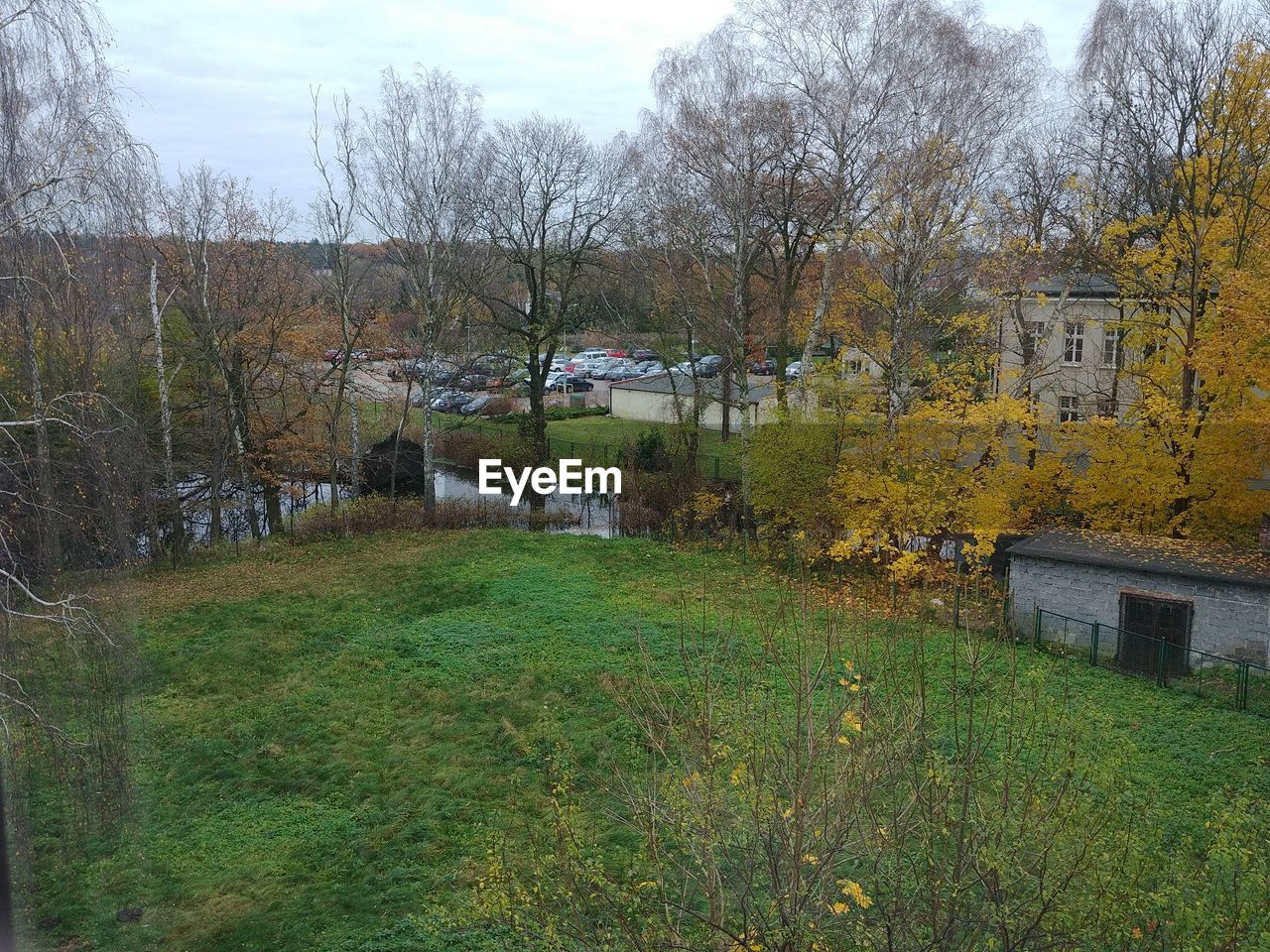 TREES AND PLANTS GROWING ON FIELD AGAINST SKY