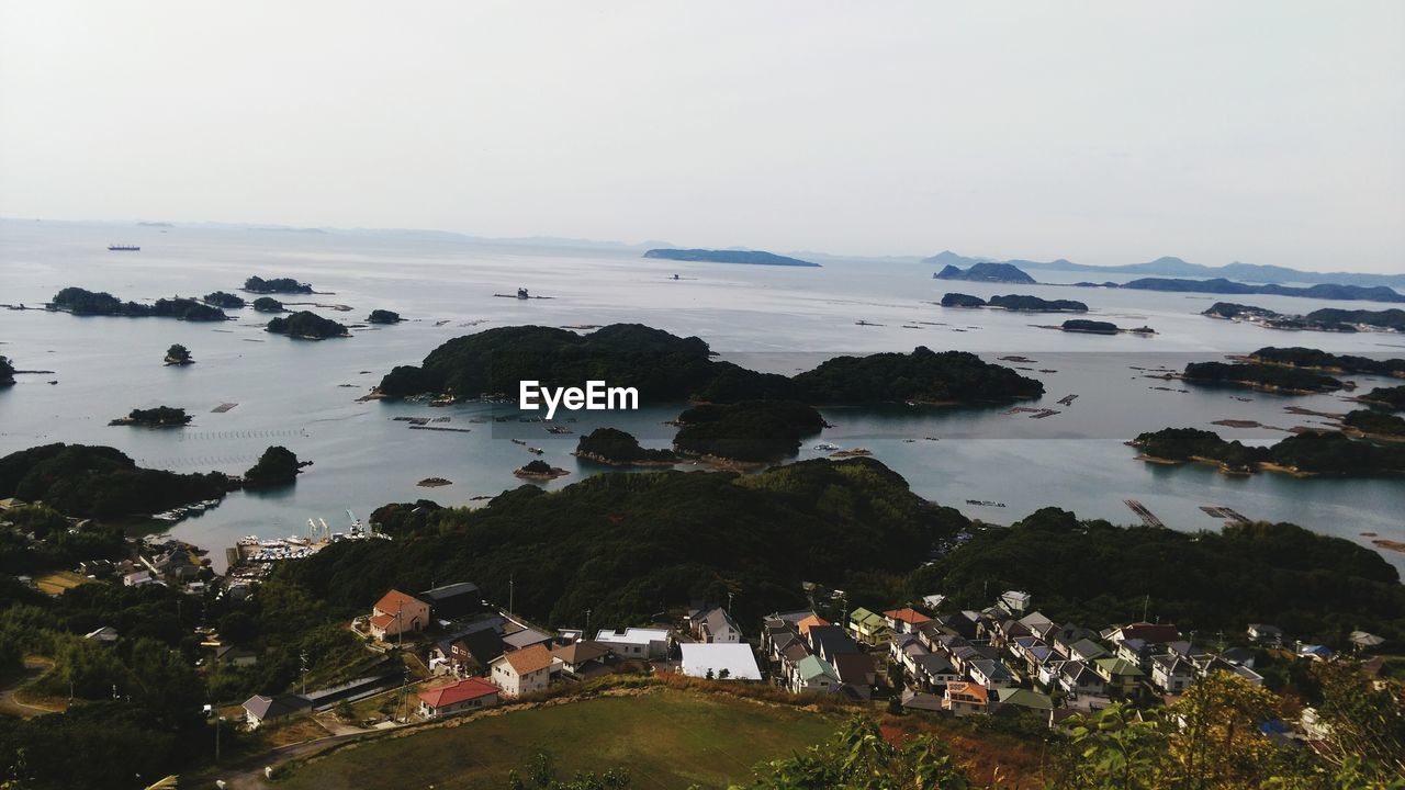 HIGH ANGLE VIEW OF TREES ON BEACH