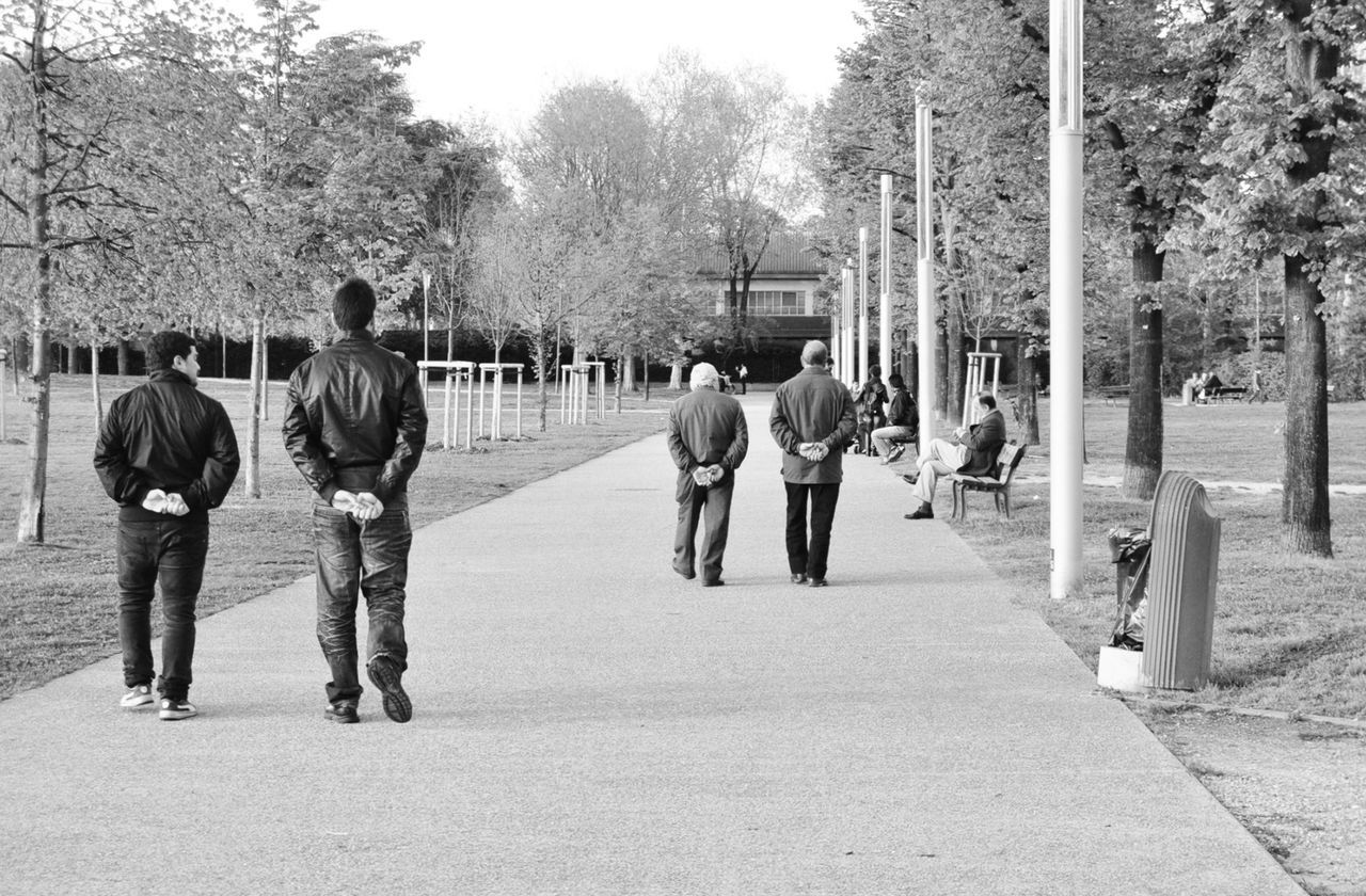 Rear view of people walking on footpath in park