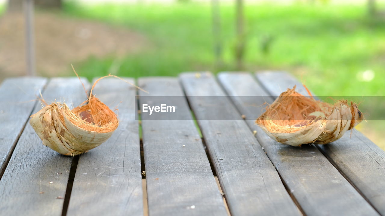 CLOSE-UP OF FRUITS ON TABLE OUTDOORS