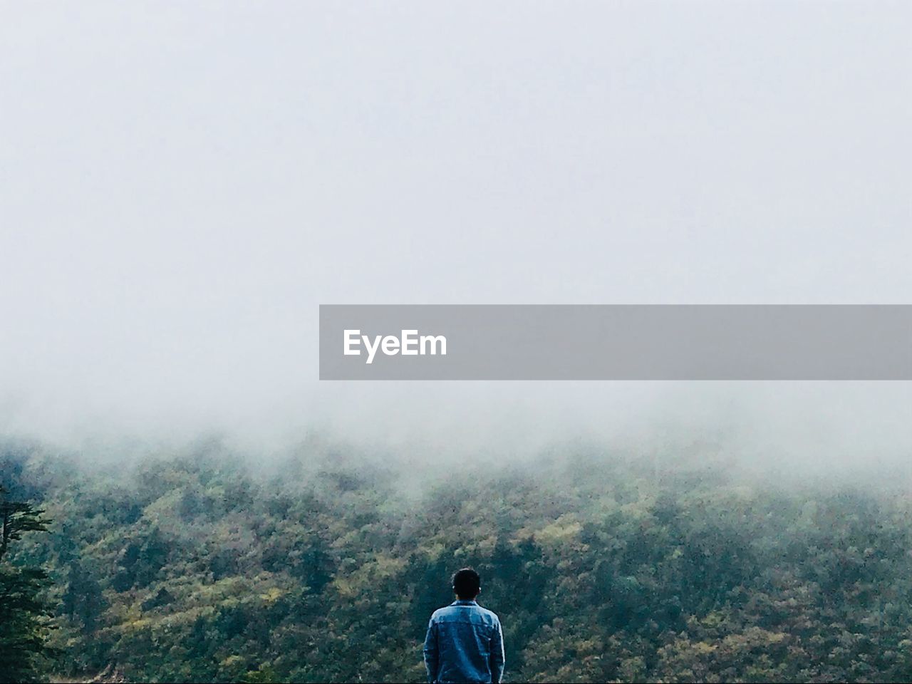 Rear view of man looking at mountain during foggy weather