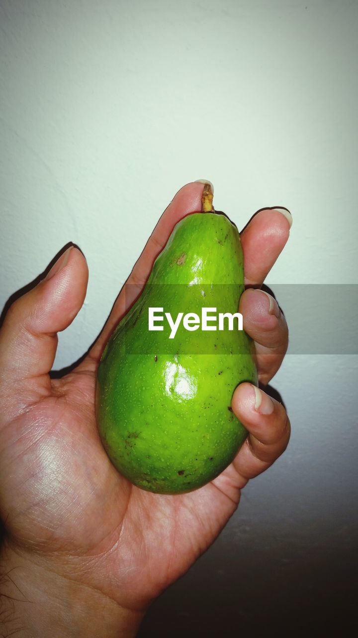 Close-up of hand holding avocado 