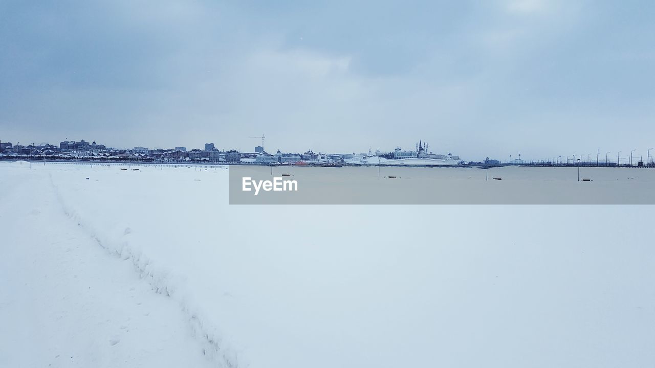 FLOCK OF BIRDS ON SNOW COVERED LANDSCAPE