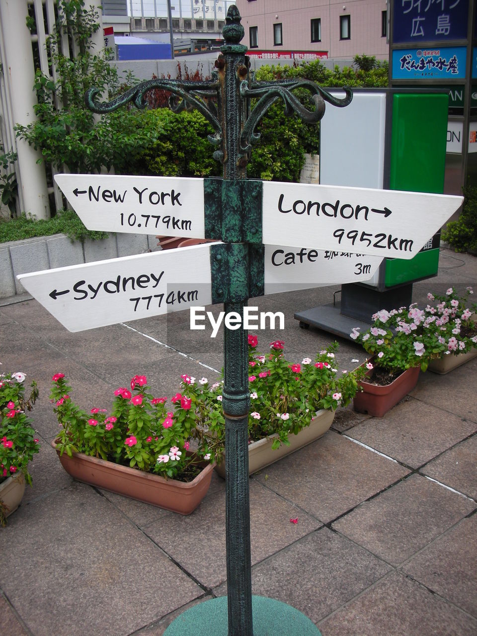 VIEW OF POTTED PLANTS ON STREET