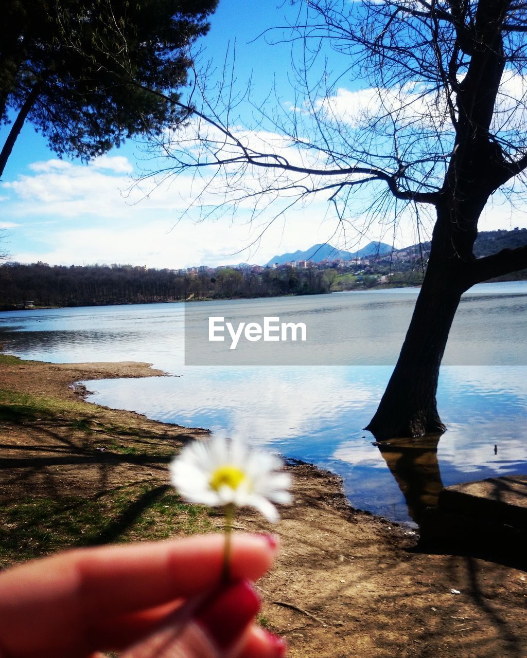 CLOSE-UP OF HAND HOLDING FLOWER AGAINST LAKE