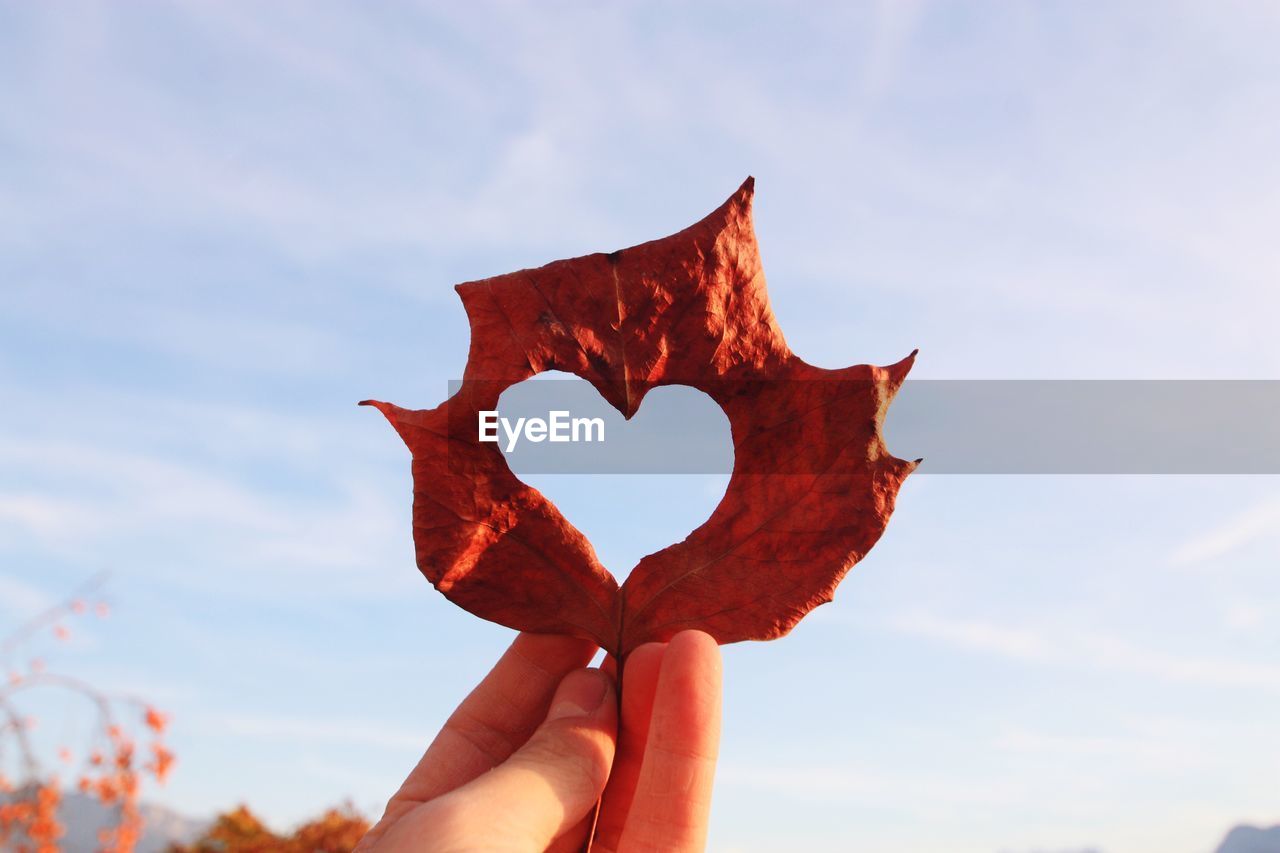 Cropped hand of person holding heart shape made on autumn leaf