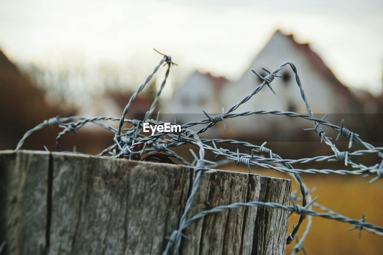 Close-up of barbed wire fence on wood