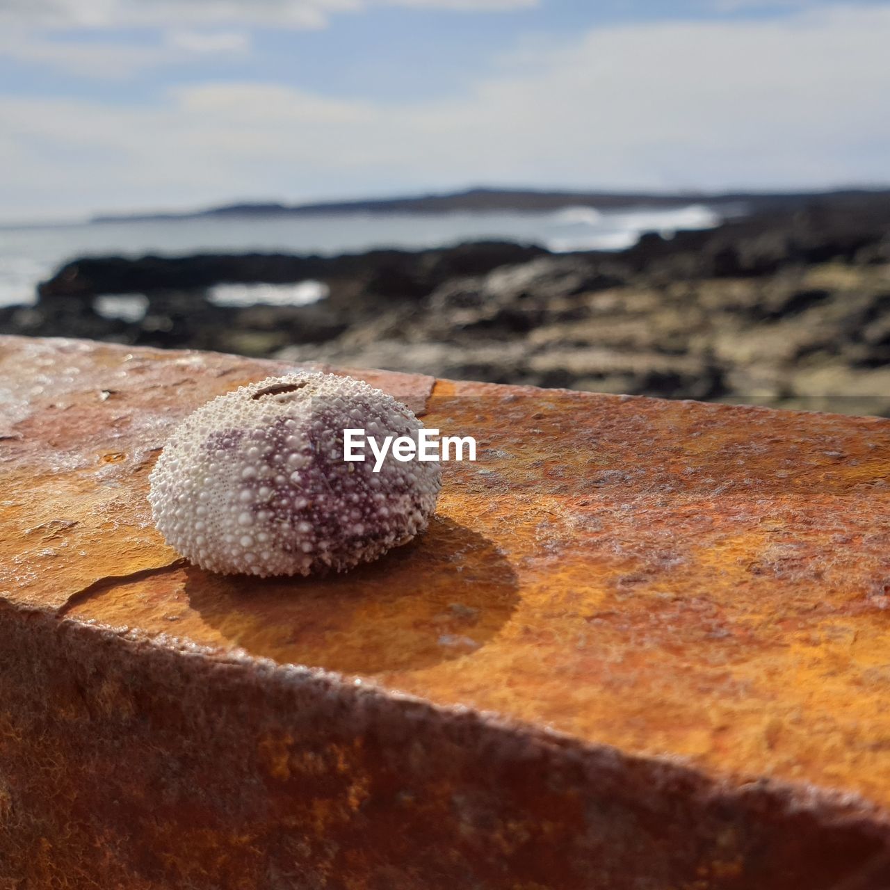 CLOSE-UP OF ROCKS ON SHORE AGAINST SKY