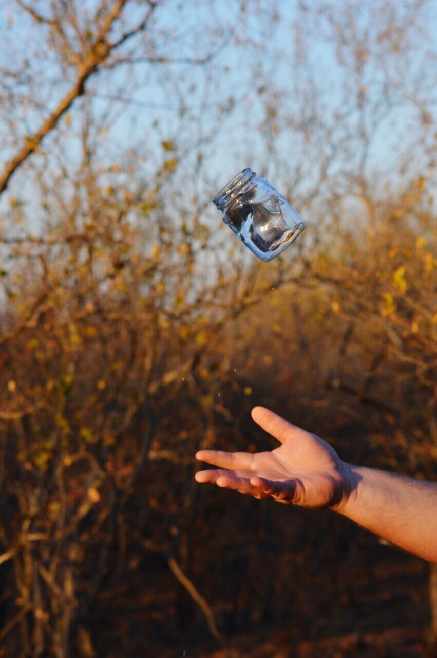 Cropped image of hand tossing jar in mid-air against trees