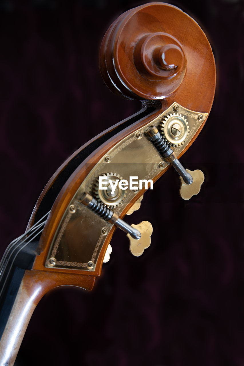 Close-up of double bass headstock against black background