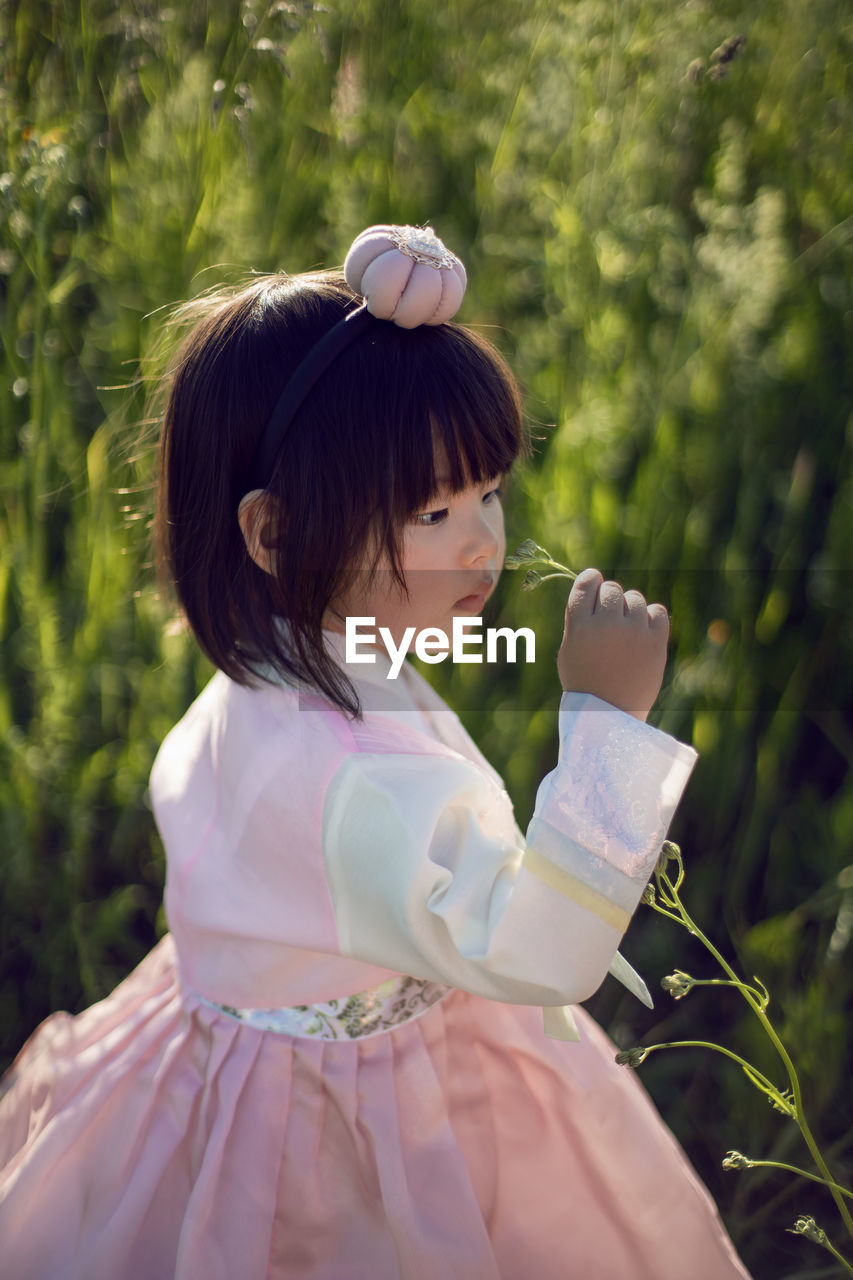 Korean national children pink costume on a four year old girl standing in a field with grass