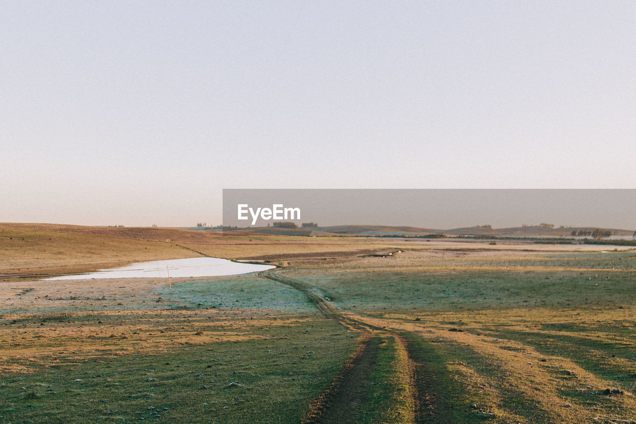 Scenic view of landscape against clear sky