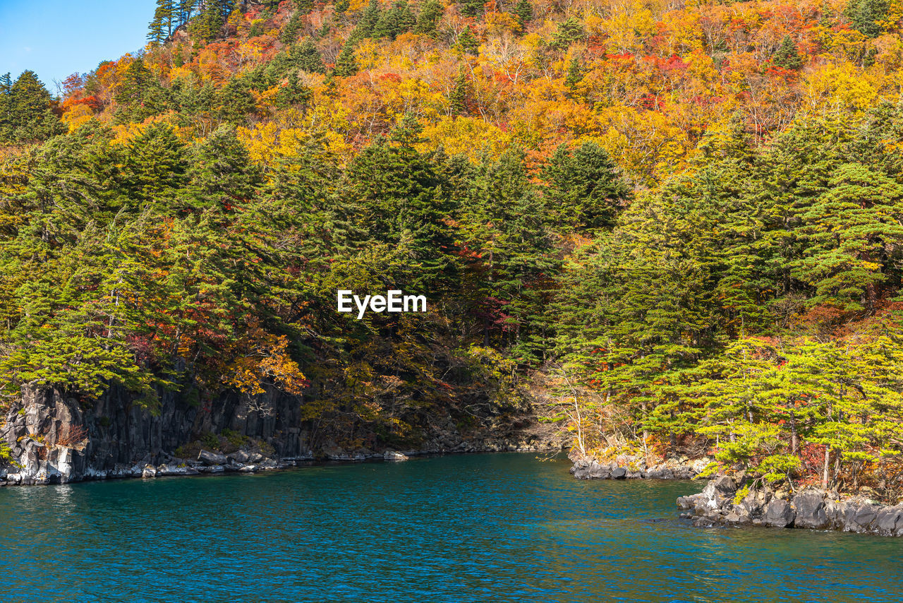 Lake towada utumn foliage scenery. towada-hachimantai national park in tohoku region. aomori, japan.