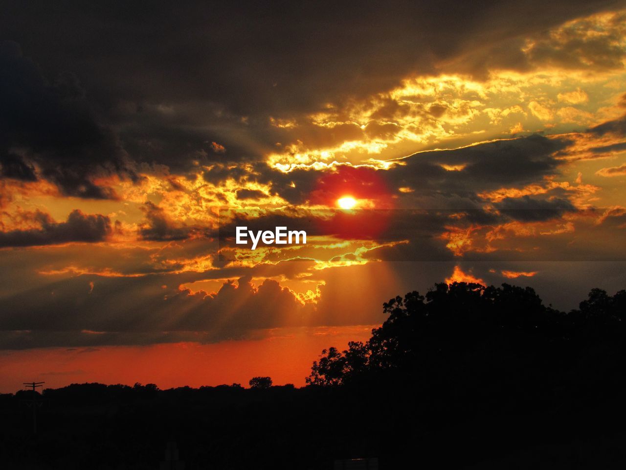 Silhouette trees against dramatic sky during sunset