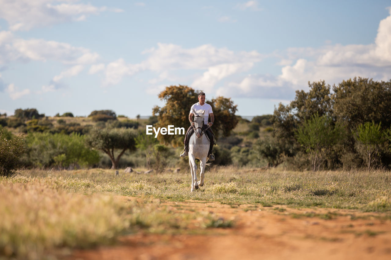 Man riding horse on land against sky