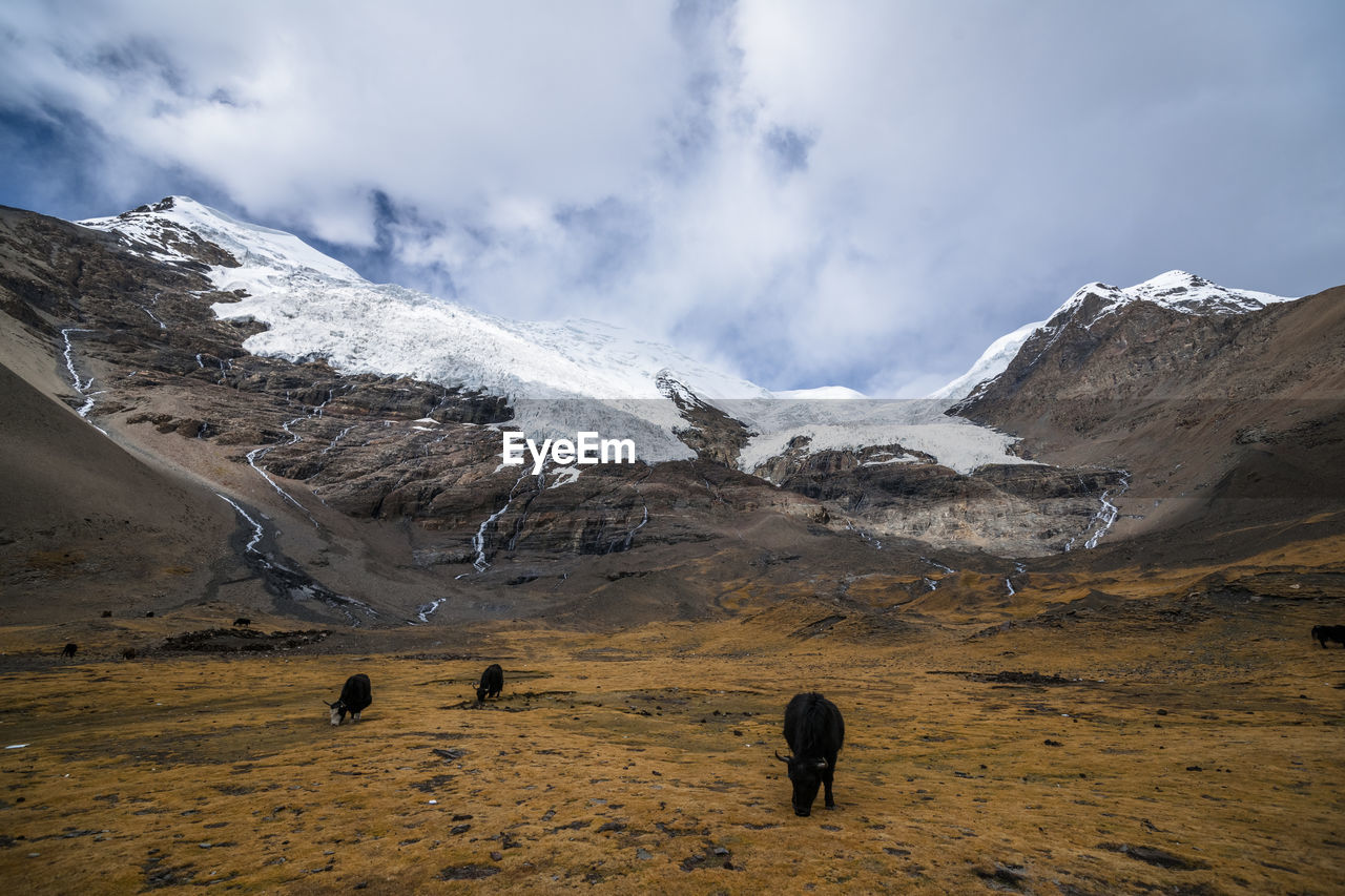 REAR VIEW OF SNOWCAPPED LANDSCAPE AGAINST SKY