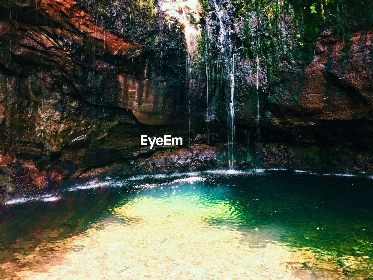 VIEW OF FOOTPATH ALONG TREES
