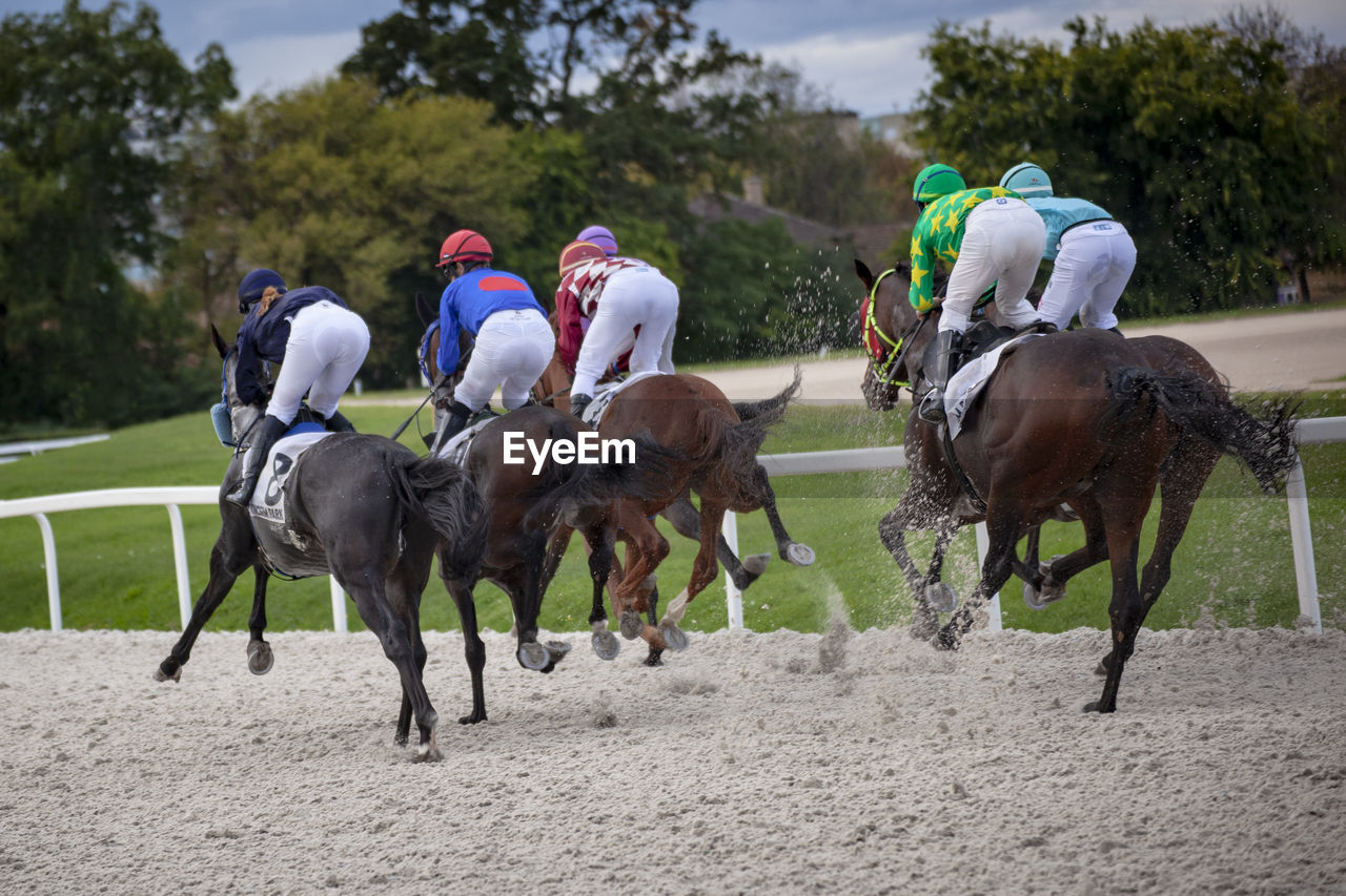 Jockeys at the kincsem park racecourse at a gallop event. 