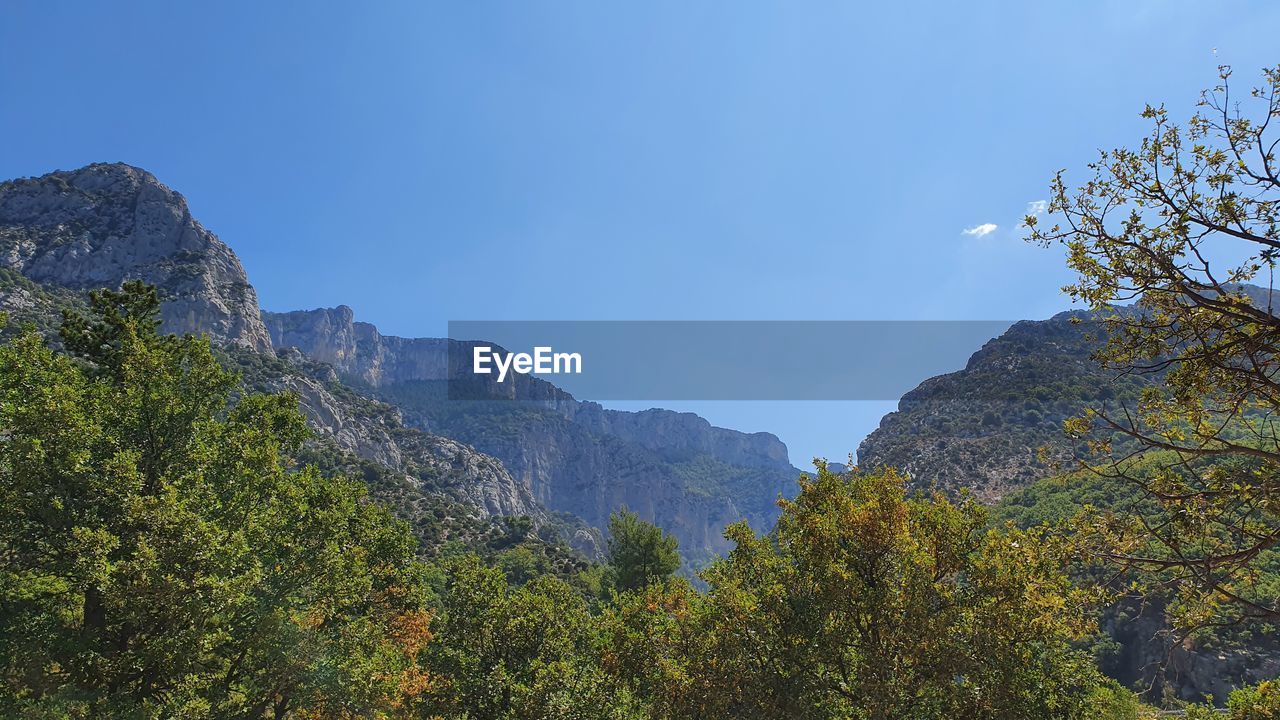 LOW ANGLE VIEW OF PLANTS AGAINST MOUNTAIN RANGE