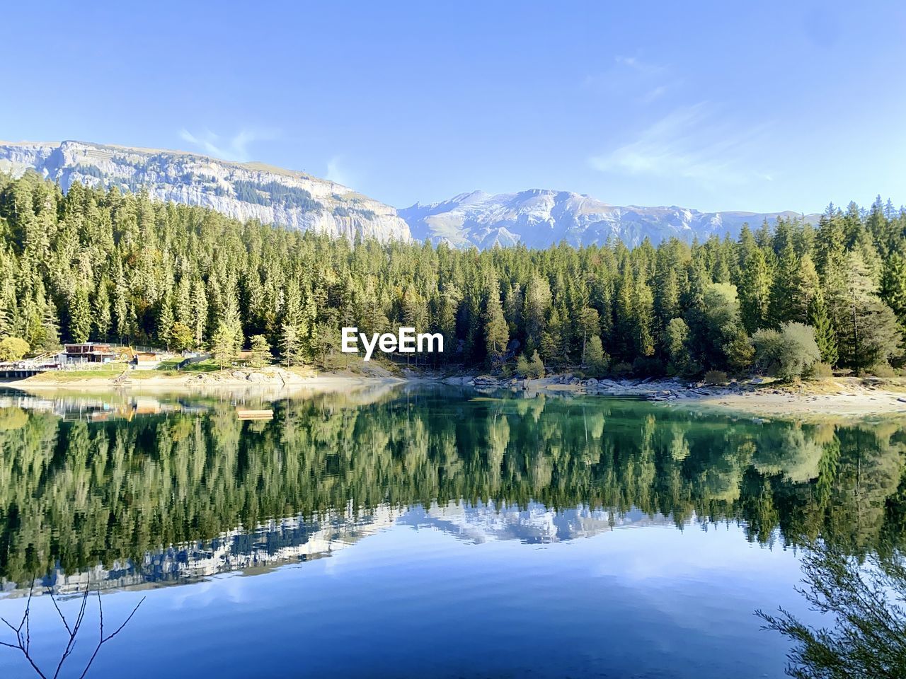 tree, reflection, scenics - nature, beauty in nature, water, plant, wilderness, lake, tranquil scene, tranquility, forest, mountain, pine tree, sky, coniferous tree, nature, pine woodland, pinaceae, environment, no people, land, landscape, non-urban scene, blue, woodland, mountain range, body of water, idyllic, day, snow, travel destinations, outdoors, remote, green, travel, cold temperature, reservoir, meadow, cloud, national park, winter