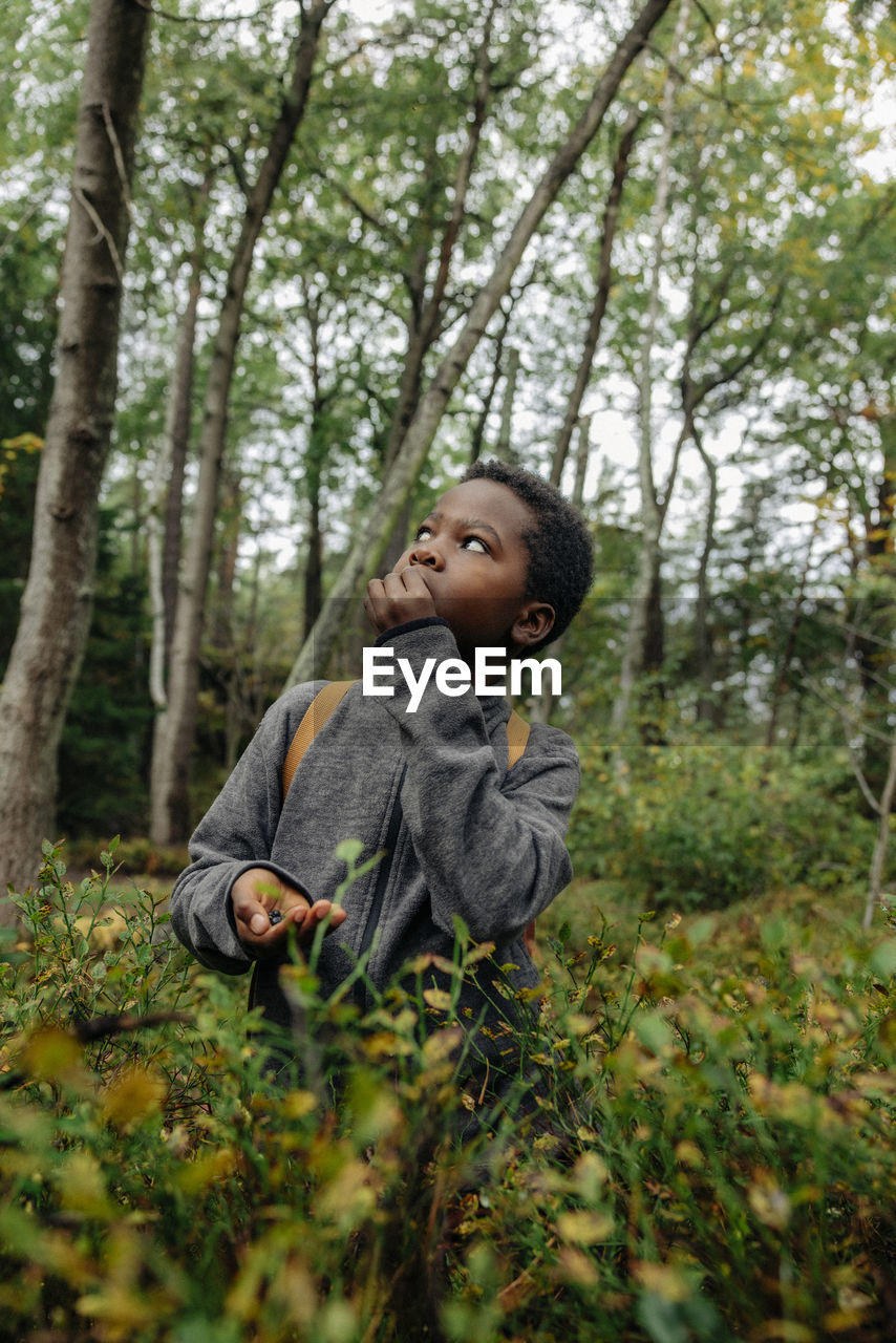 Boy looking up while eating berries near plants in forest