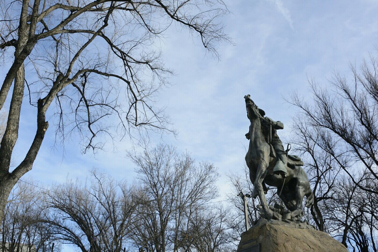 Statue of horse back rider and bare trees