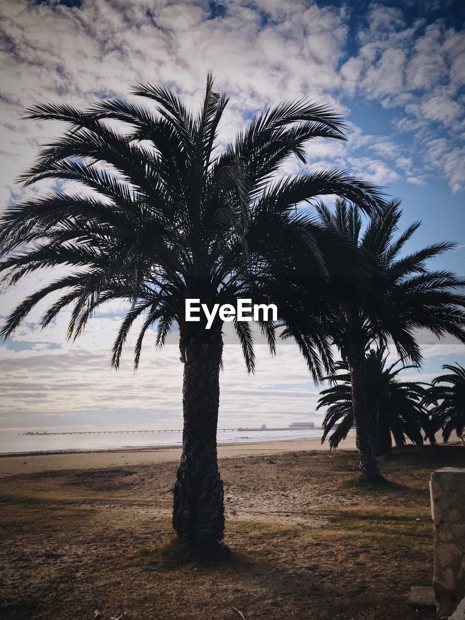 PALM TREES BY LANDSCAPE AGAINST SKY