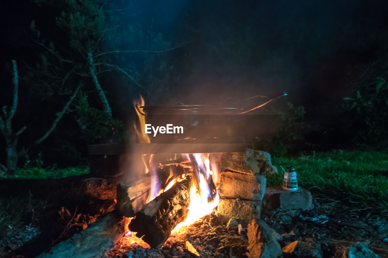 fire, burning, campfire, flame, heat, nature, bonfire, tree, night, camping, forest, land, darkness, wood, log, plant, glowing, fireplace, smoke, outdoors, firewood, environment, motion, food and drink