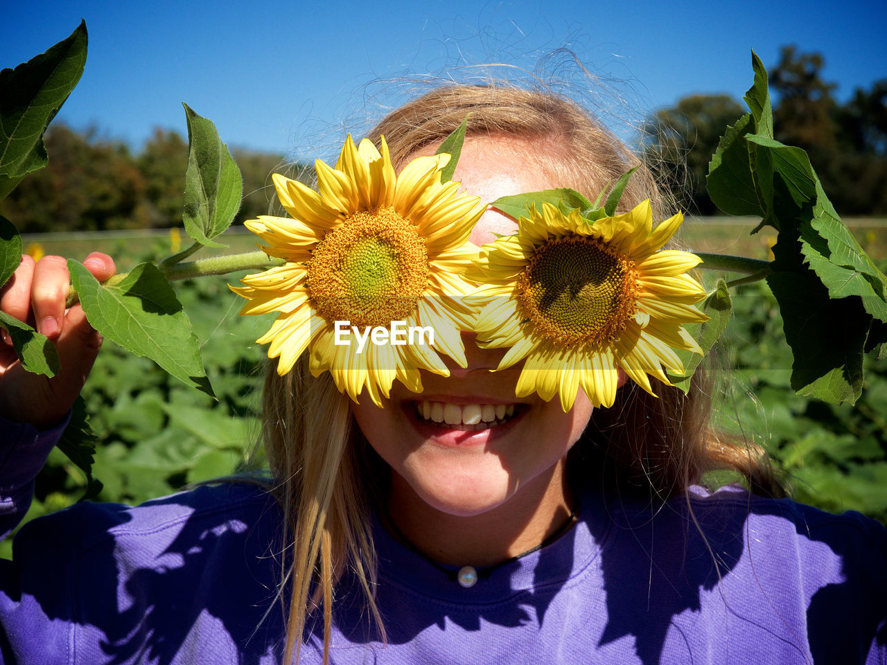 Close-up of girl holding sunflowers