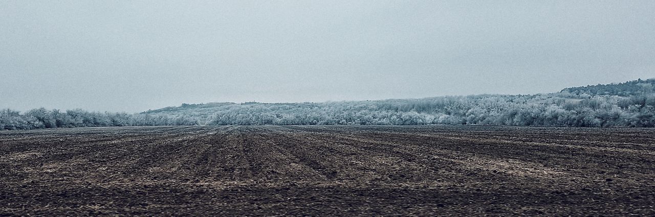 Scenic view of field against clear sky during winter