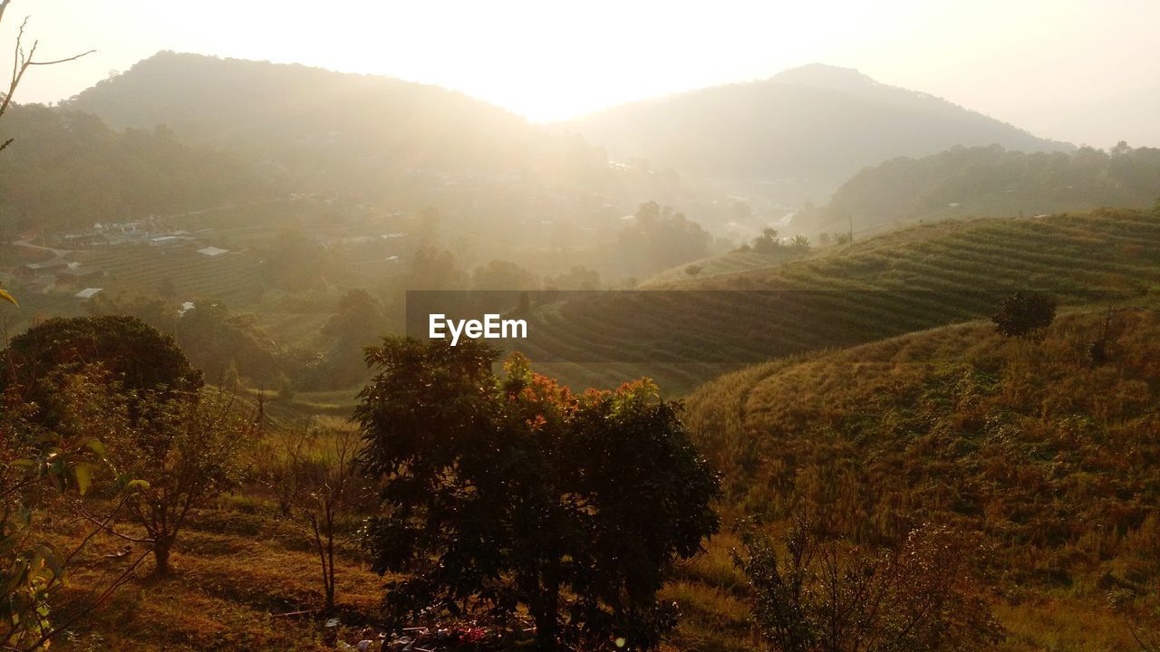 SCENIC VIEW OF FIELD AGAINST MOUNTAINS