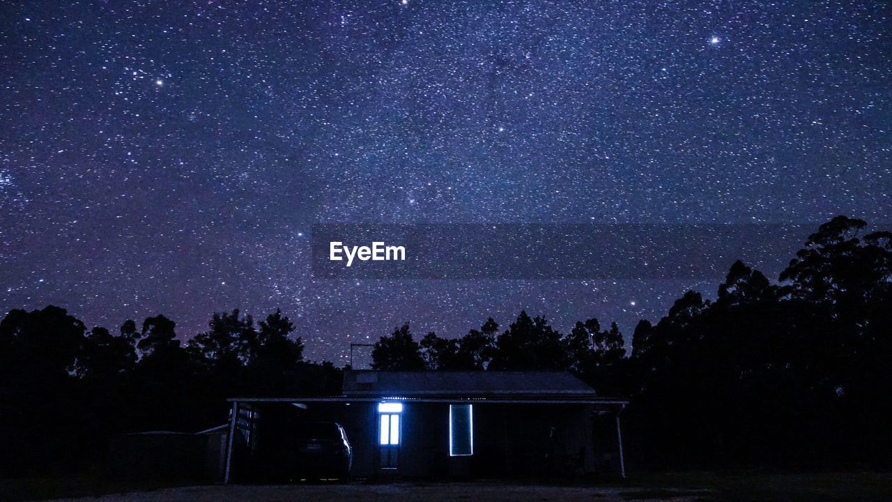 TREES AGAINST SKY AT NIGHT