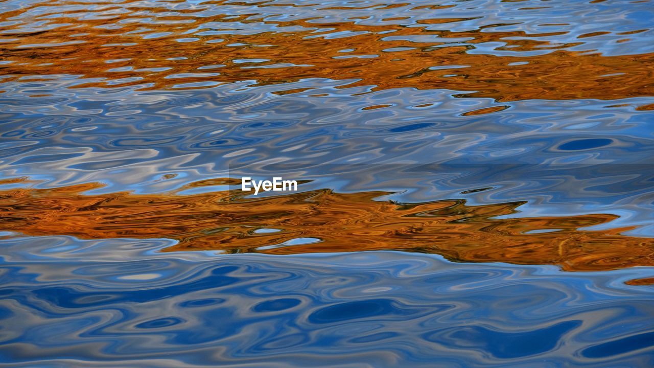 HIGH ANGLE VIEW OF TURTLE IN LAKE