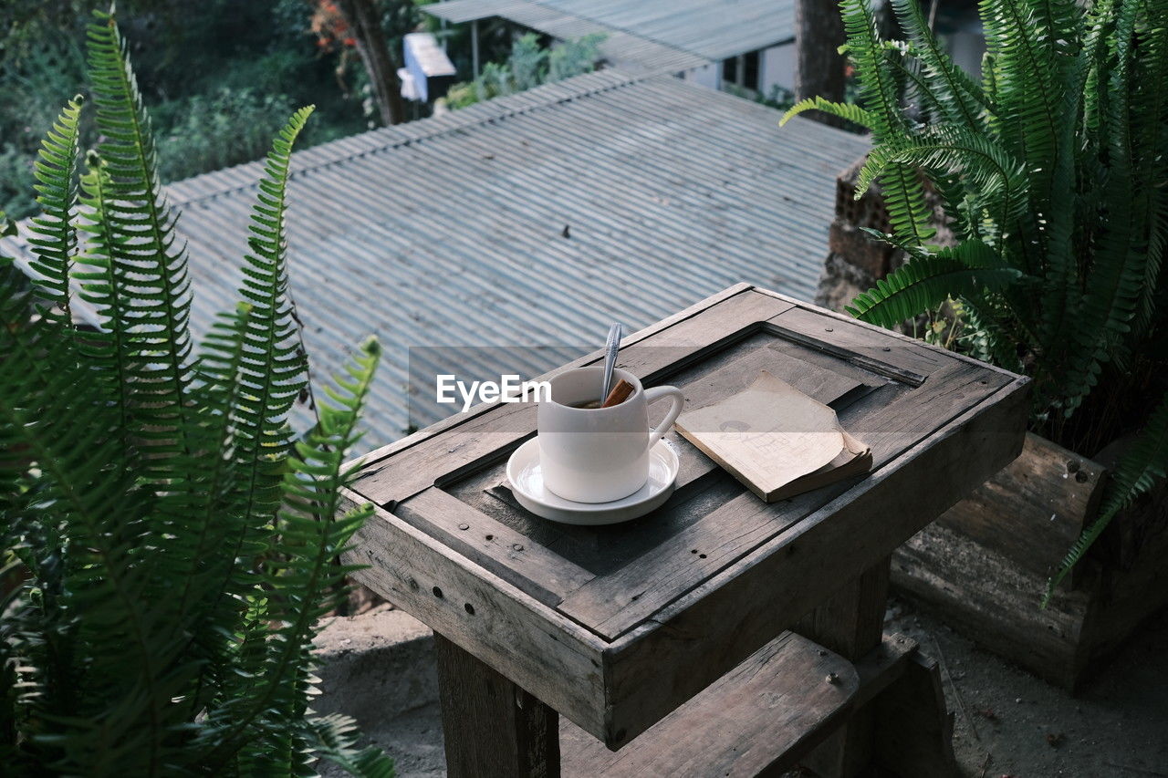 High angle view of potted plant