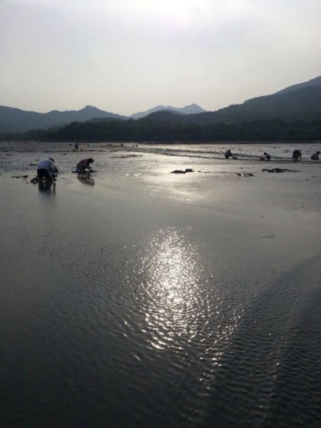 People cleaning river by mountain against clear sky