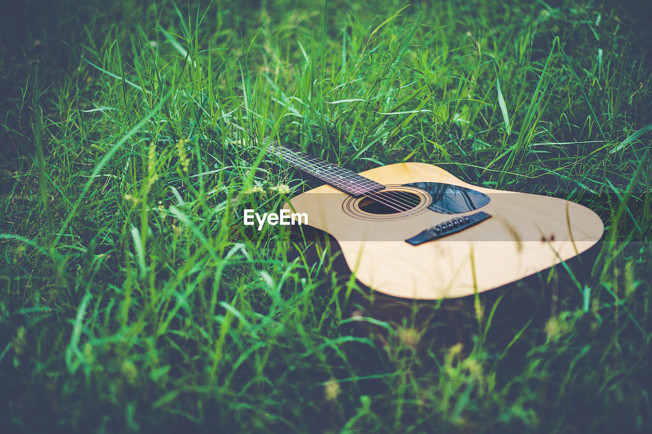 CLOSE-UP OF GUITAR ON FIELD BY GRASS