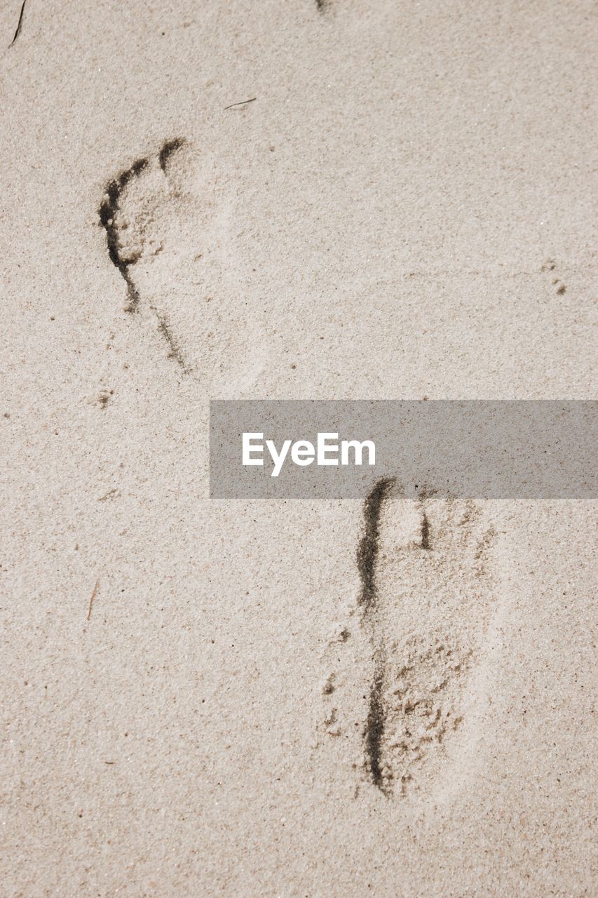 CLOSE-UP OF FOOTPRINT ON SAND