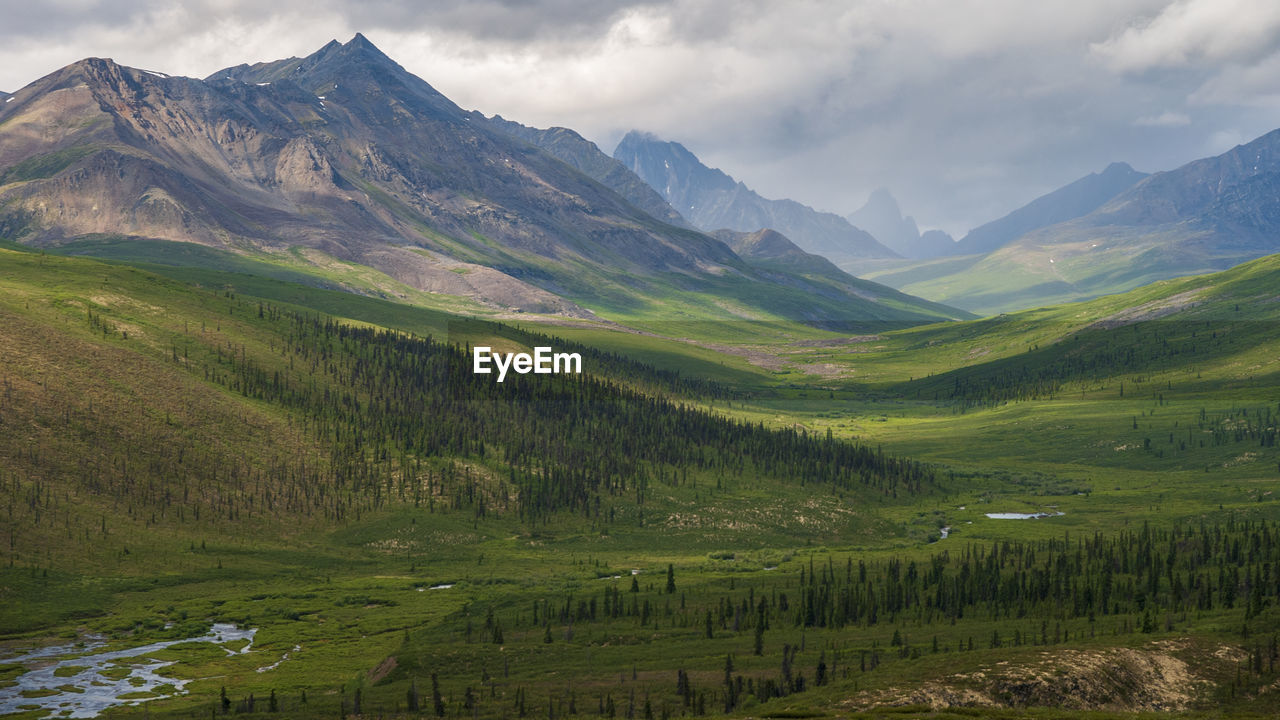 Scenic view of field and mountains against sky