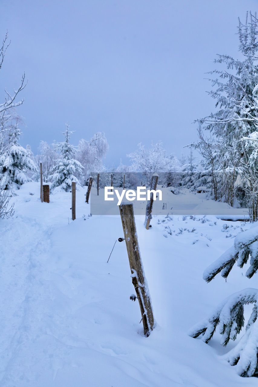 SNOW COVERED FIELD BY TREES AGAINST SKY