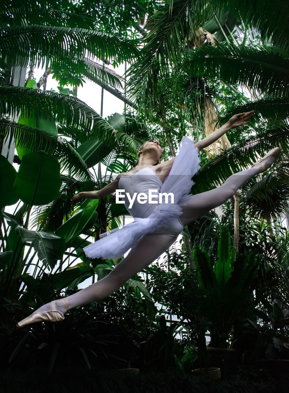 Ballet dancer dancing against palm trees