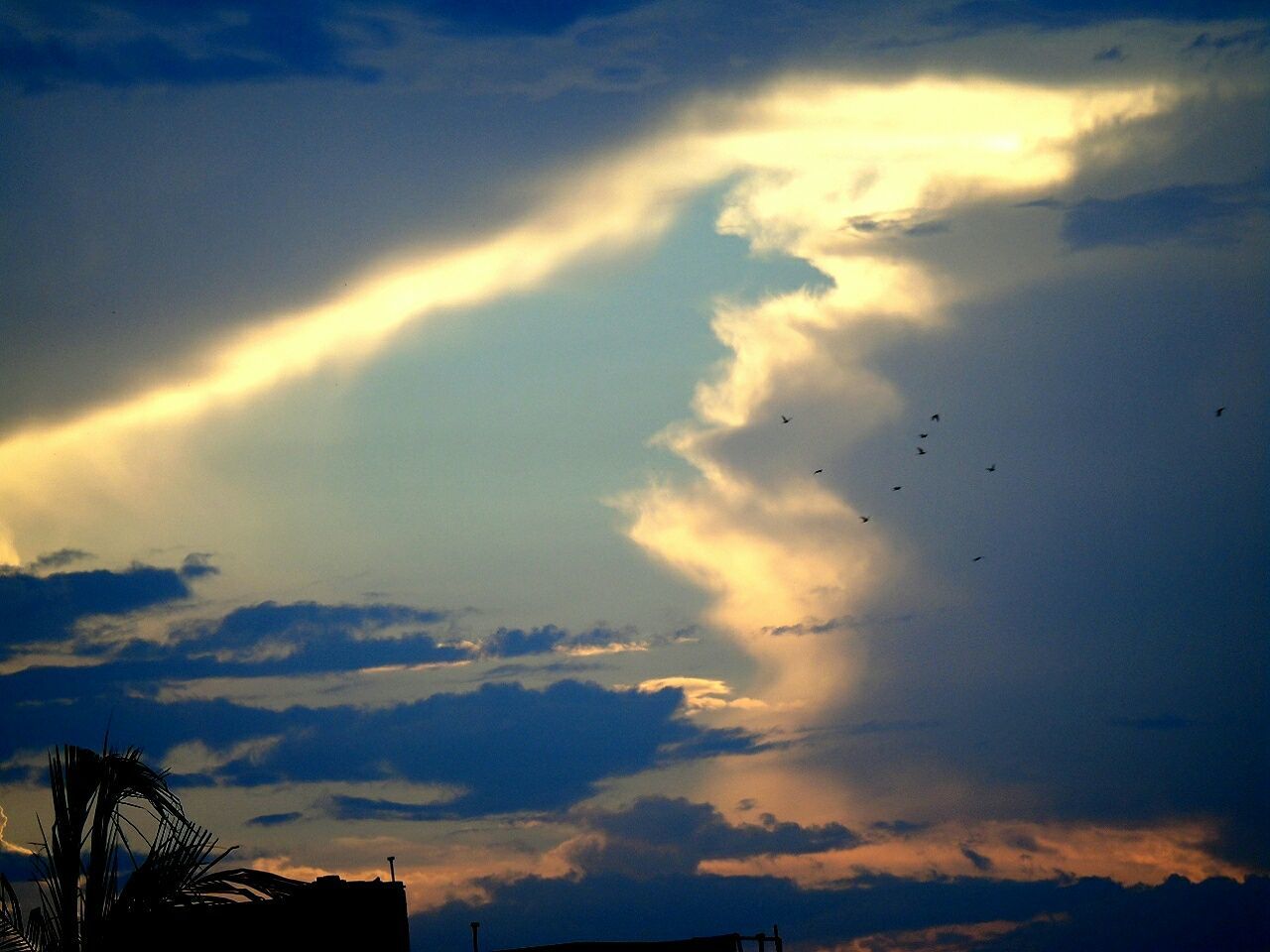 SILHOUETTE OF TREES AGAINST CLOUDY SKY