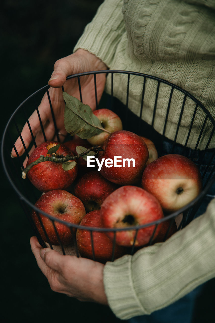 Close-up woman holding a basket of apples