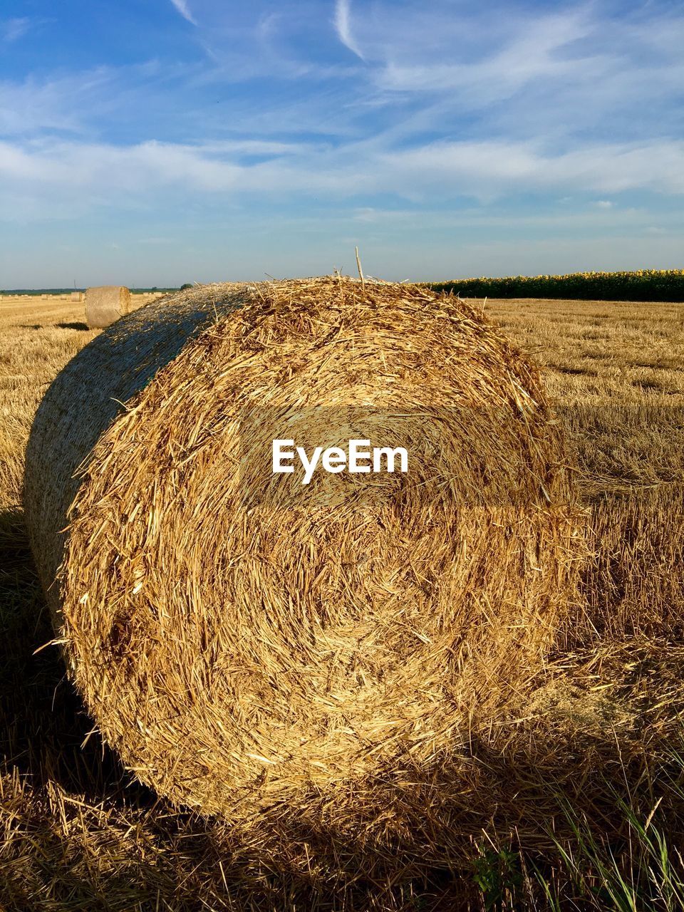 Hay bales on field against sky