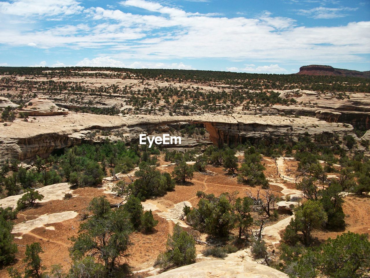 AERIAL VIEW OF LANDSCAPE