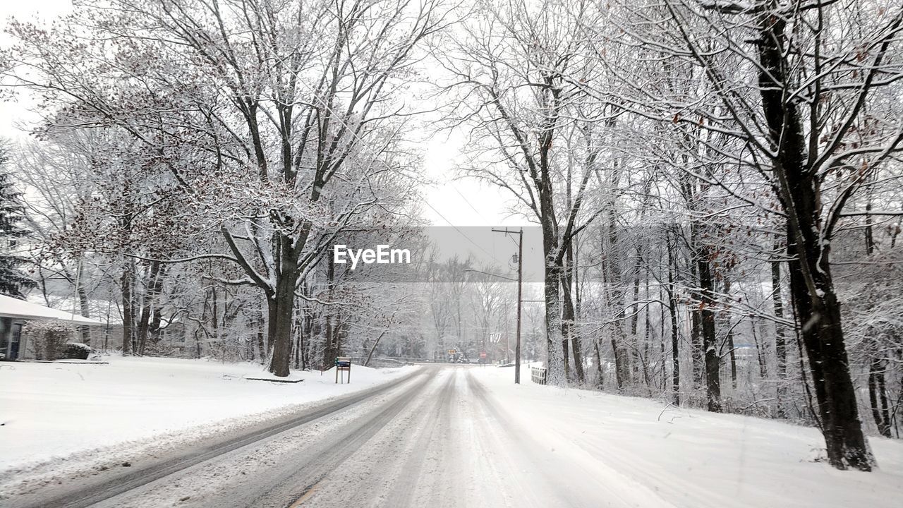 SNOW COVERED ROAD BY BARE TREES IN CITY